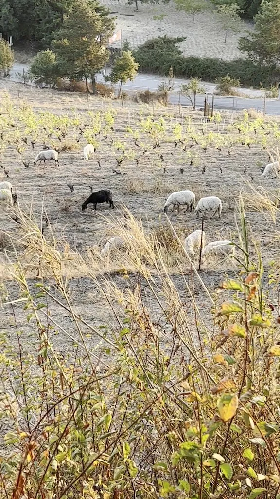 Zhigulskaya Maria_Hotel Miramonti Seulo Turismo Rurale- bikershotel_Aritzo_recensione