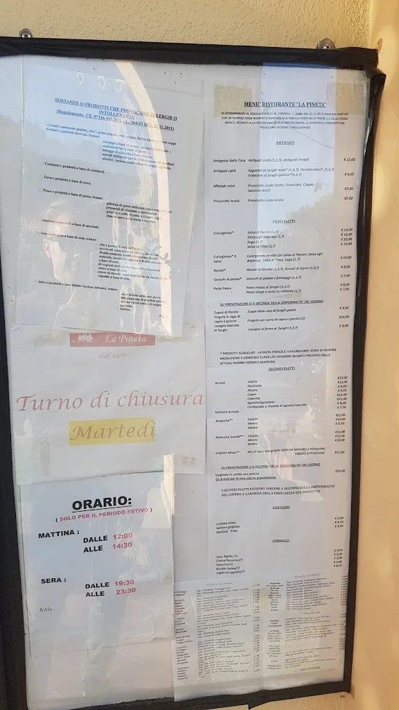 Menu_Ristorante Pizzeria La Pineta di Nieddu Claudio_Arzana_image_2