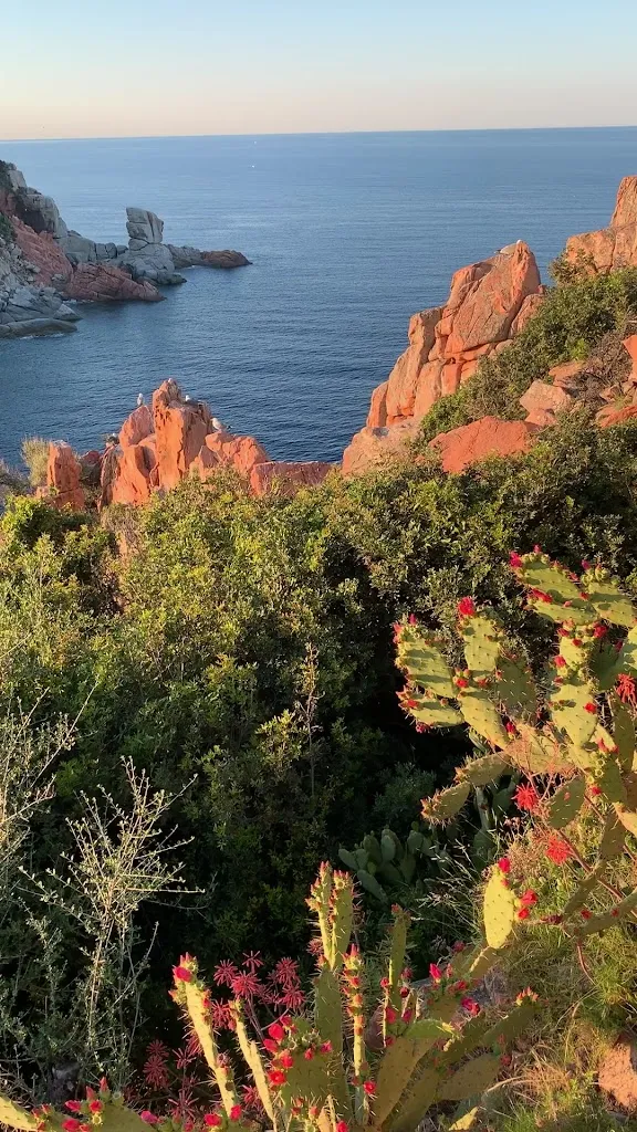 Ristorante Cala_Arbatax_slider_image_2