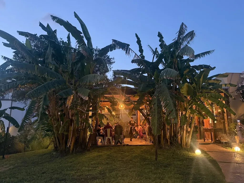 Ruben Martín_bonobo._Arbatax_review