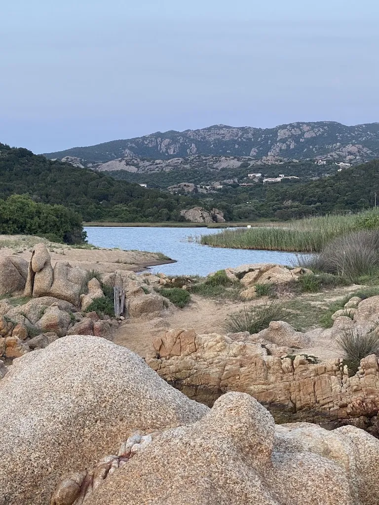 Navid Sarrafzadeh_Lunaria Beach Restaurant & Lounge Bar - Apre il 31.5.2025_Arzachena_review