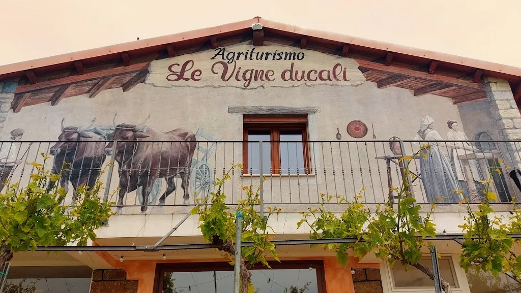 Valeria Grandi_Ristorante @ Agriturismo Le Vigne Ducali_Ballao_review