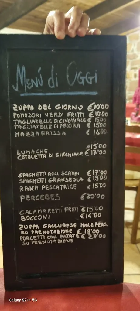 Adolfo Fiorini_La Multa Bianca_Badesi_review