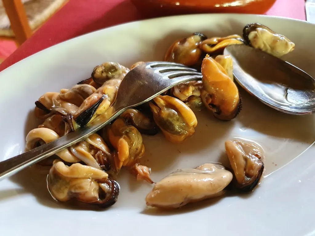 Omar Bautista_La Multa Bianca_Badesi_review