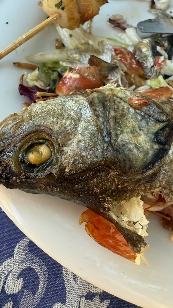 Andrei Ionescu_Sa Tracca_Bari Sardo_review