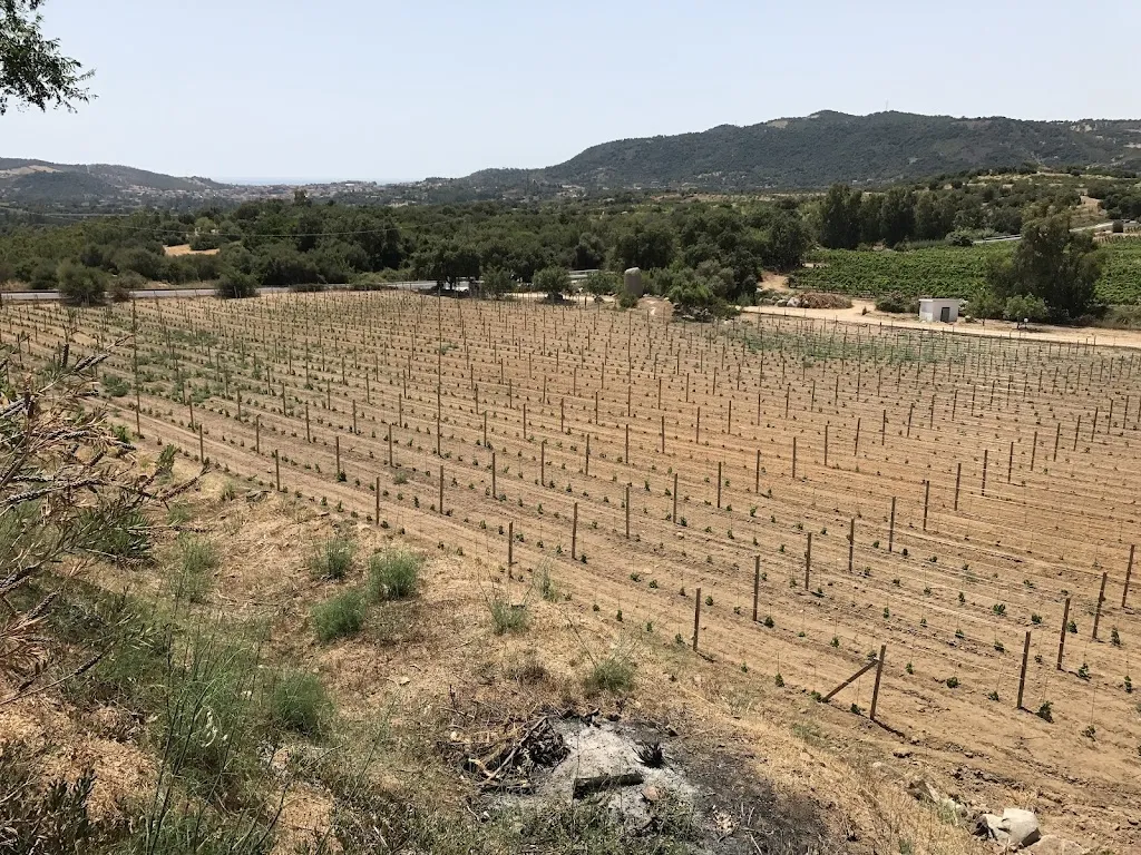 Tom Jonasson_Agriturismo Su Solianu_Bari Sardo_review