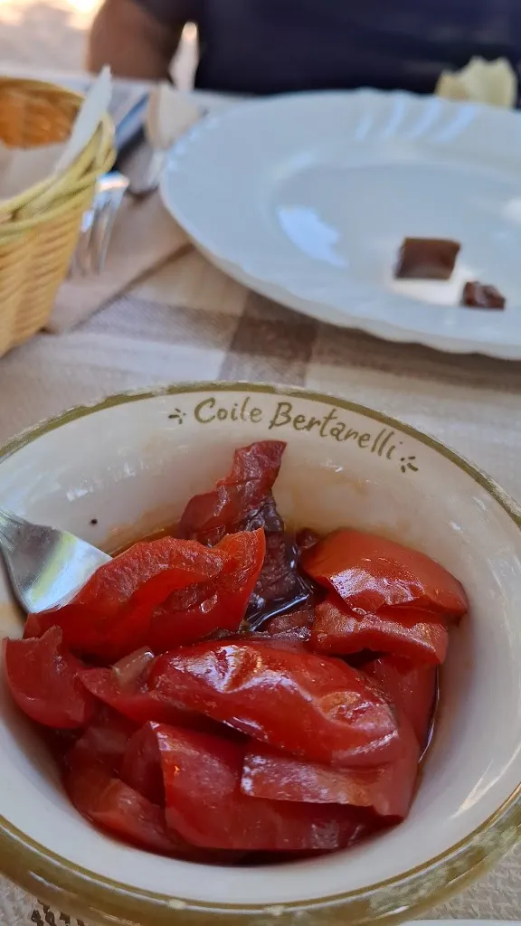 Juliana A_Ovile Bertarelli_Baunei_review