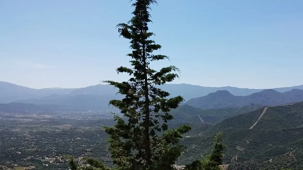 Bar Ristorante Pizzeria Pisaneddu_Baunei_slider_image_2