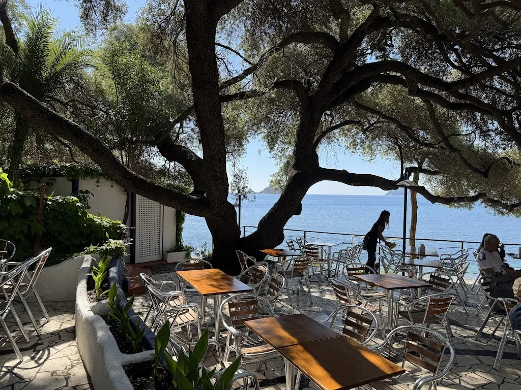 L'Olivastro Bar restaurant in Baunei