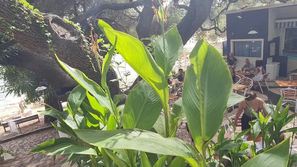 L'Olivastro Bar_Baunei_slider_image_2