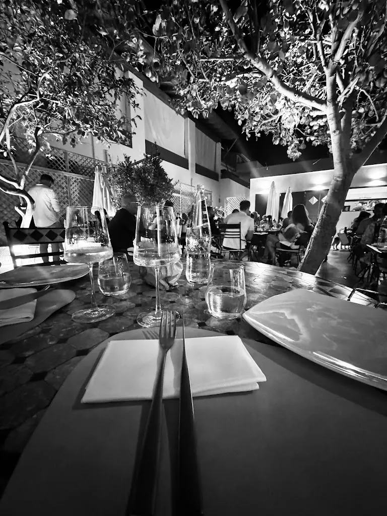 Davide Fenu_CRVDO_Bacu Abis_review