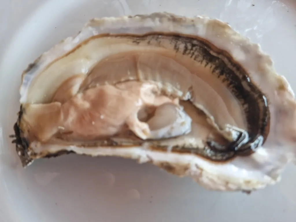 Menu_Punta Restaurant_Bacu Abis_image_8