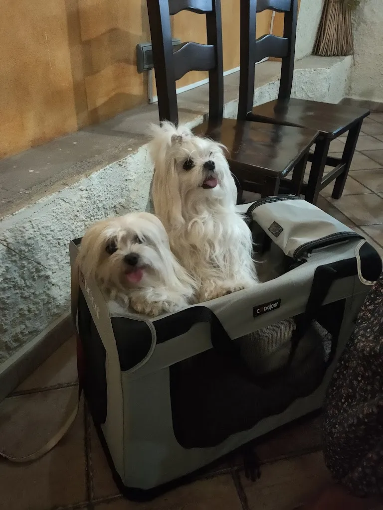 marco cecchetti_Pizzeria Excalibur_Bacu Abis_review