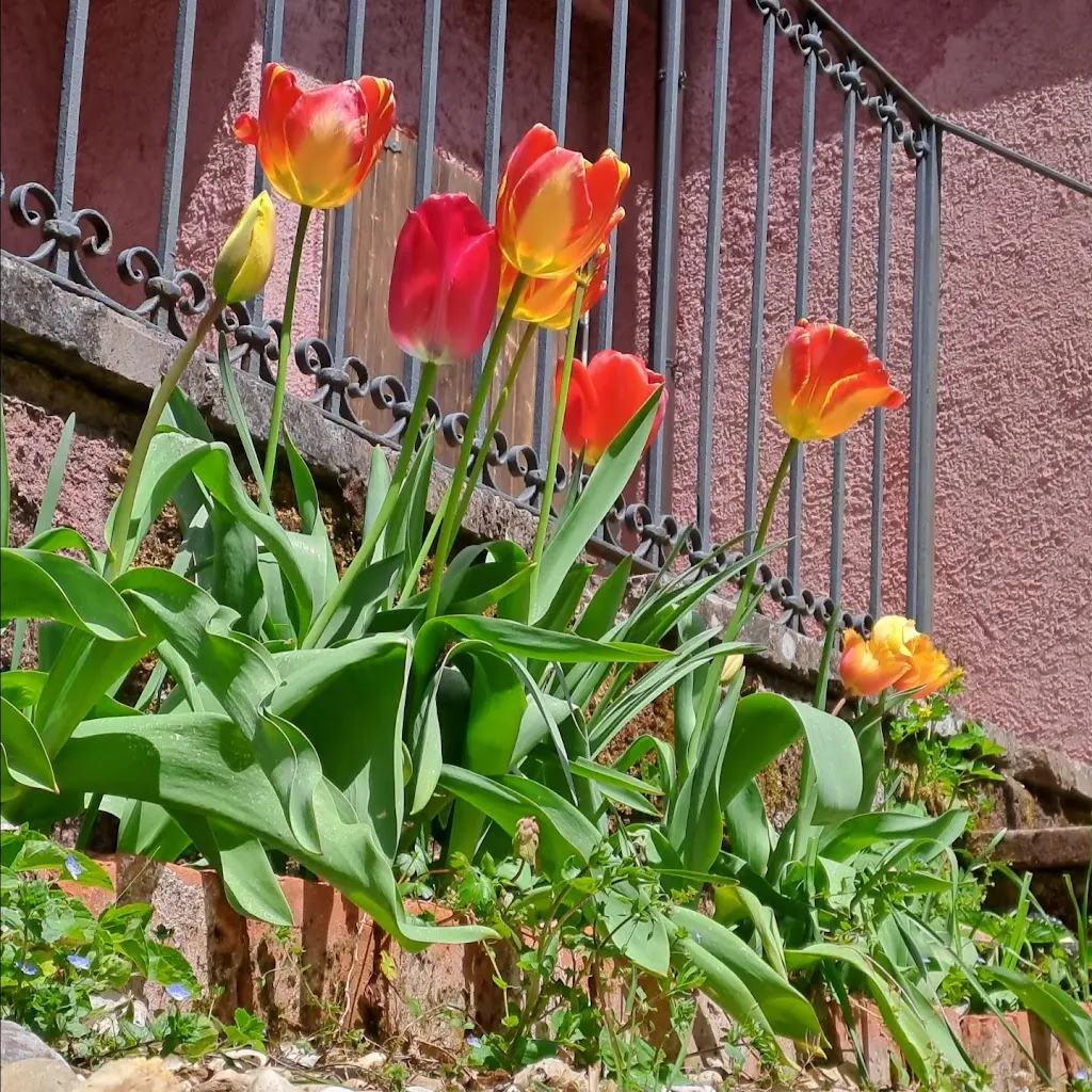 La casa di Badde -Home restaurant_Bolotana_slider_image_2