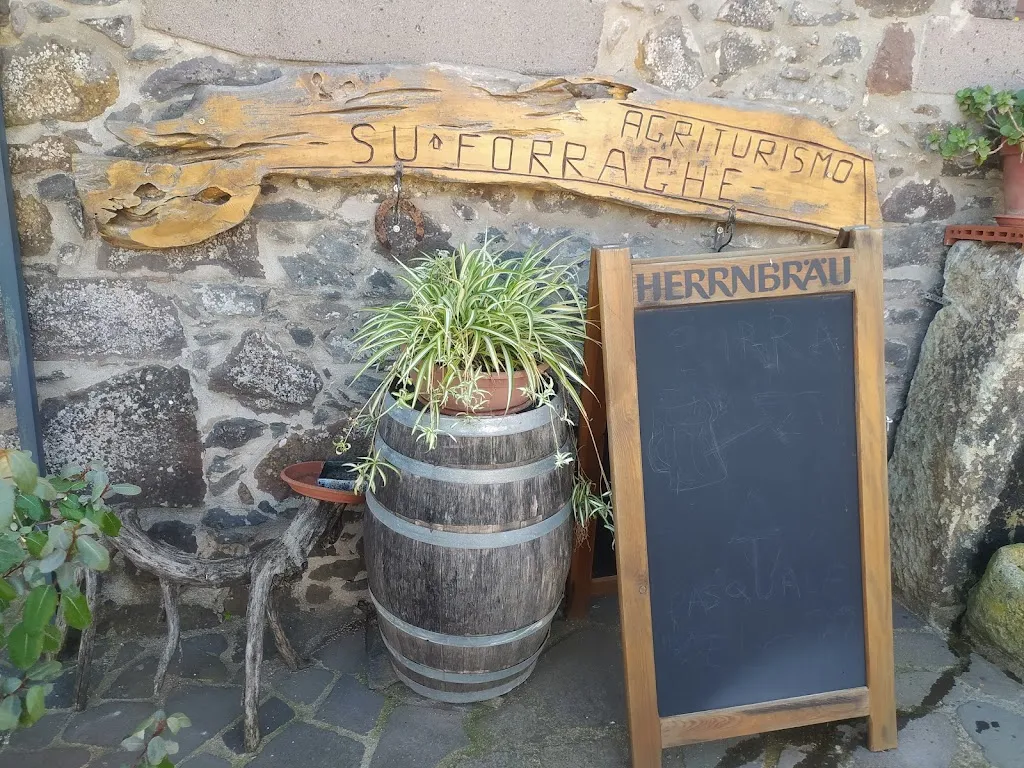 Maria Cristina P_Agriturismo Su Forraghe_Bonarcado_review