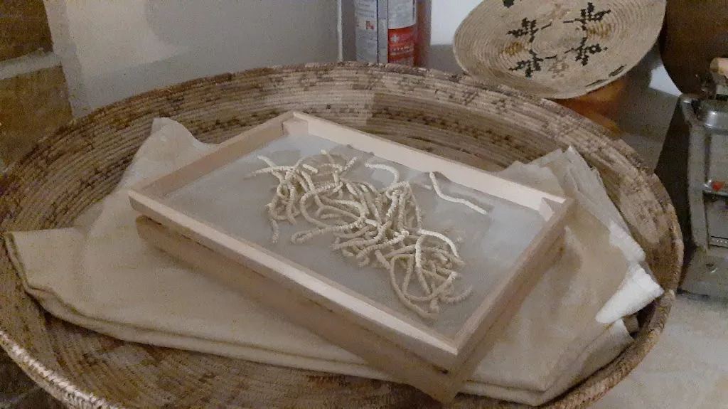 Menu_La Rosa dei Venti_Boroneddu_image_2