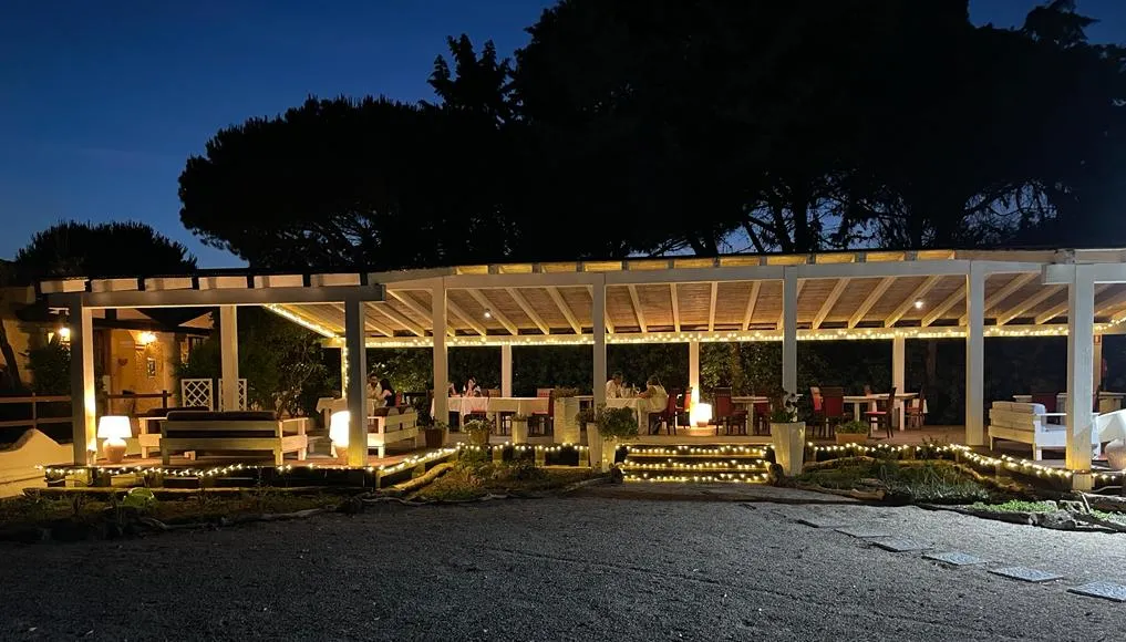 Carduus_Boroneddu_slider_image_2