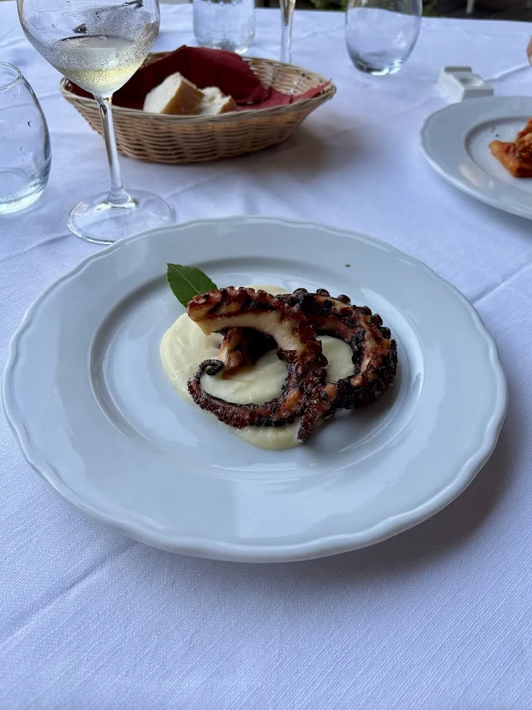 Carduus_Boroneddu_slider_image_3