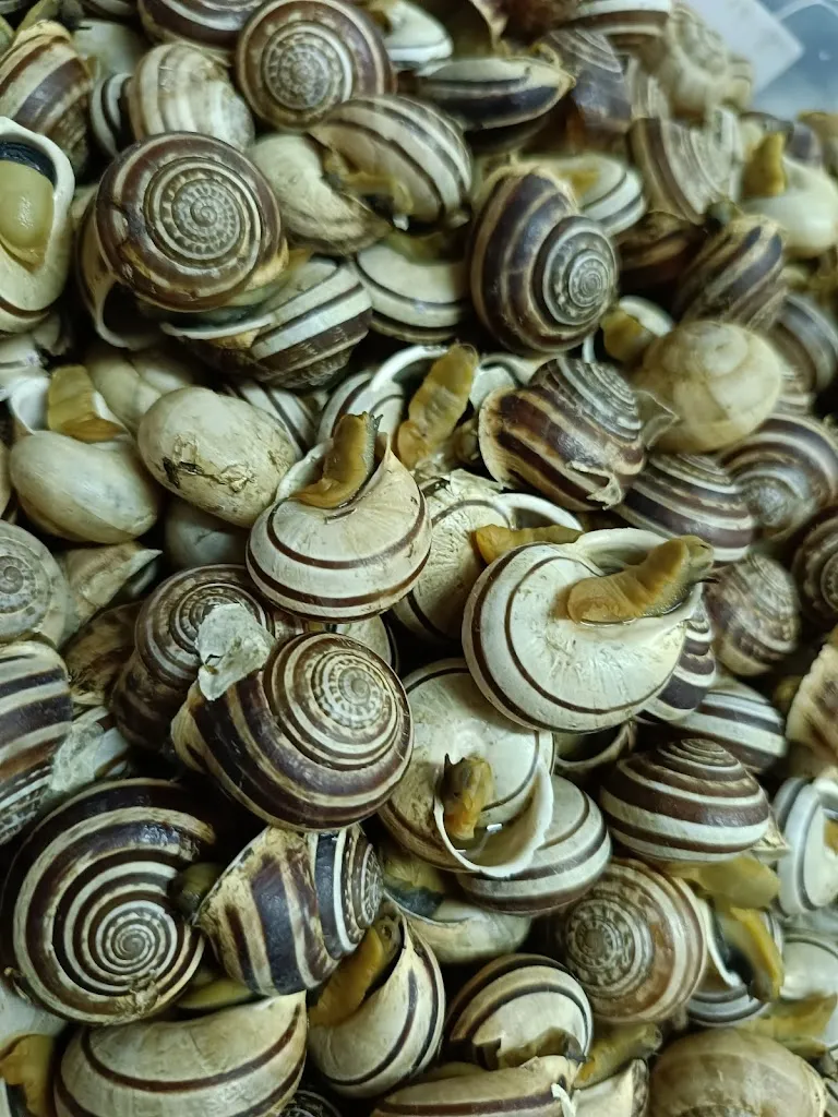 Menu_Trattoria Bar Del Corso_Bessude_image_5