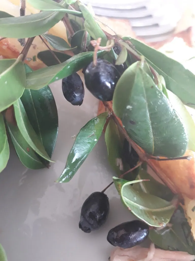 Menu_Agriturismo Cabu Abbas_Bessude_image_4