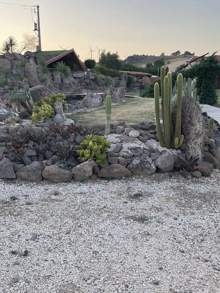 Maria Grazia Natali_Domo Mia da Gabriele Campus_Bessude_review