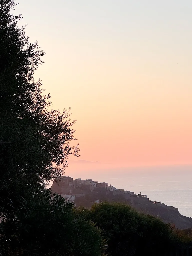 Katarína Zvaríková_Baga Baga_Bessude_review