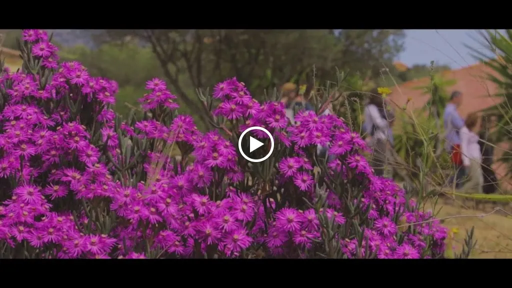 Agriturismo Agrisole_Bessude_slider_image_2