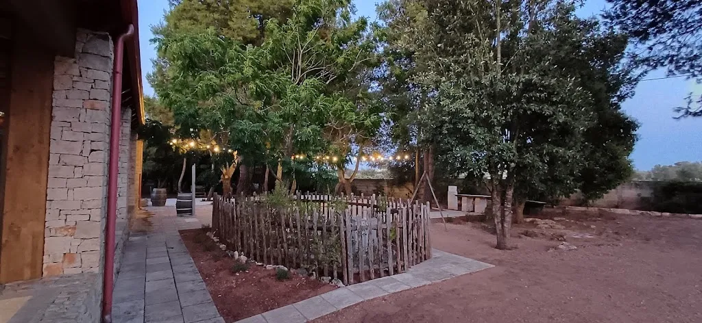 Davide Godani_Ristorante 