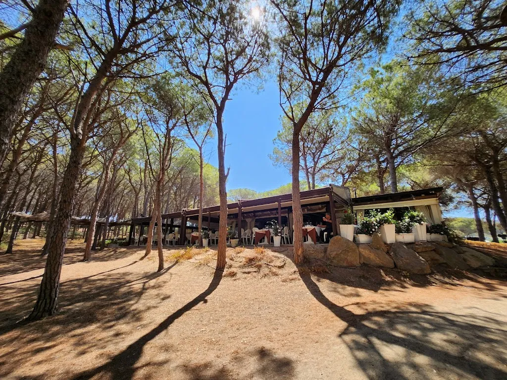 Lee Apse_Ristorante Shardana_Budoni_review