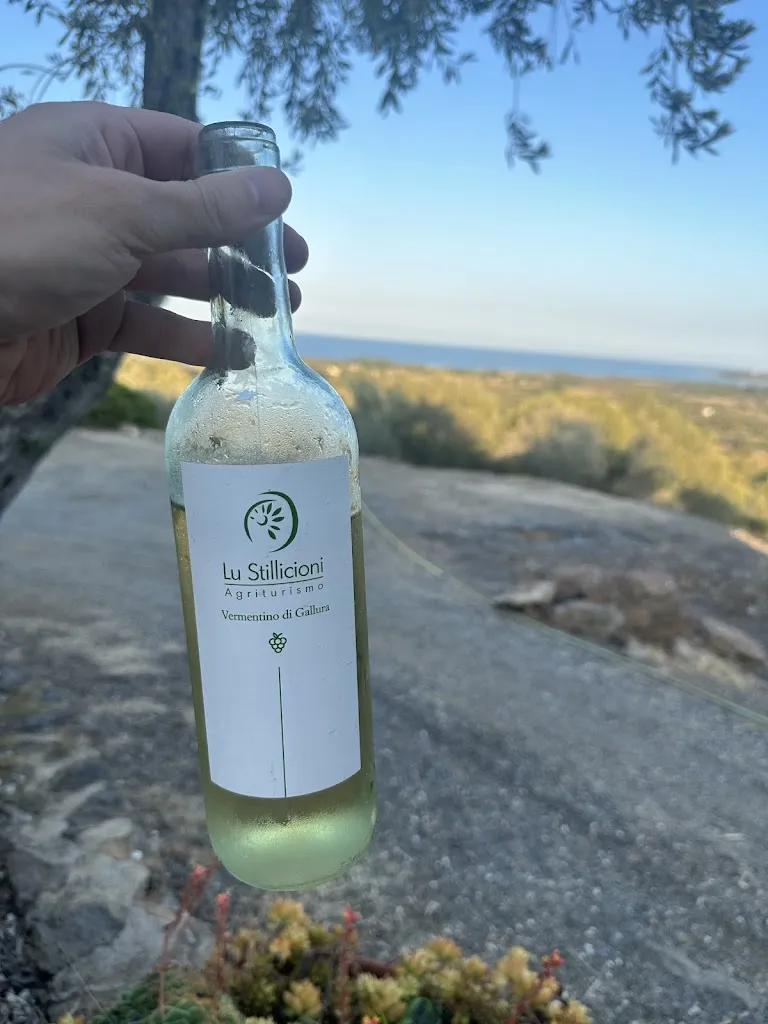 Menu_Agriturismo Lu Stillicioni_Budoni_image_6