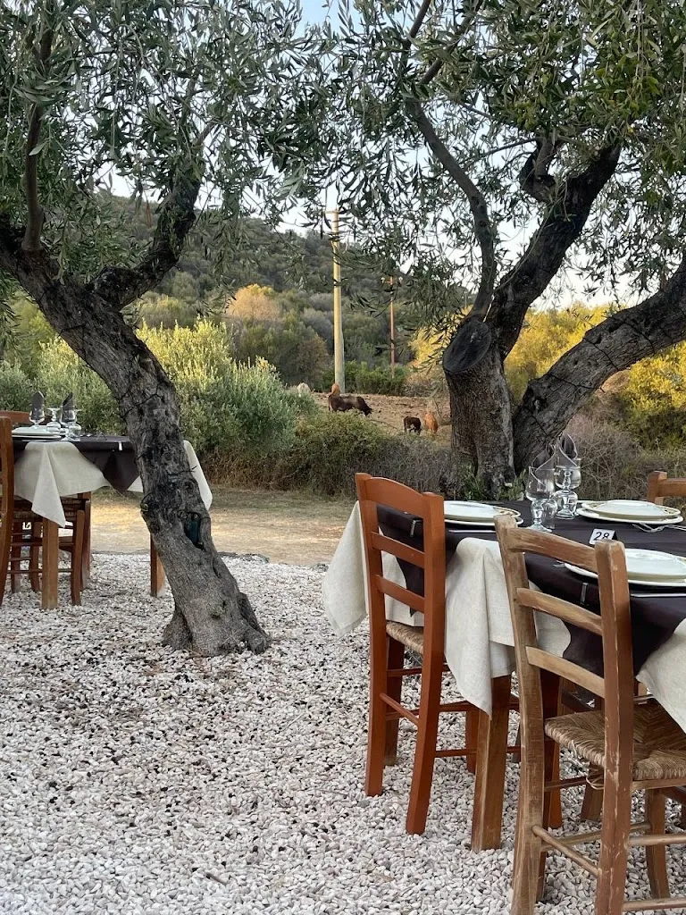 Anne Städtler_Agriturismo Lu Stillicioni_Budoni_review