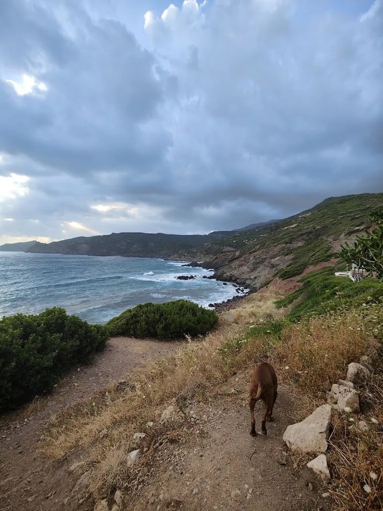 Imola Regős_Ristorante La casa del vento_Bosa_review