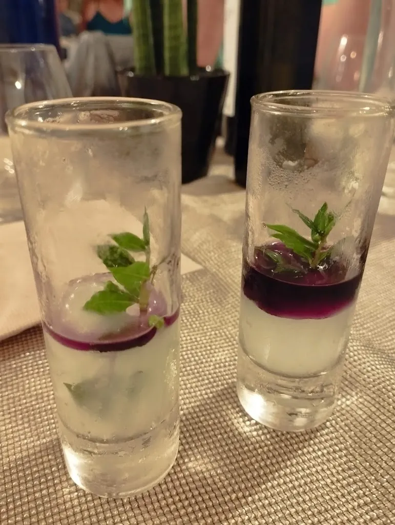 Micaela Latini_Oasi Blu_Calasetta_review