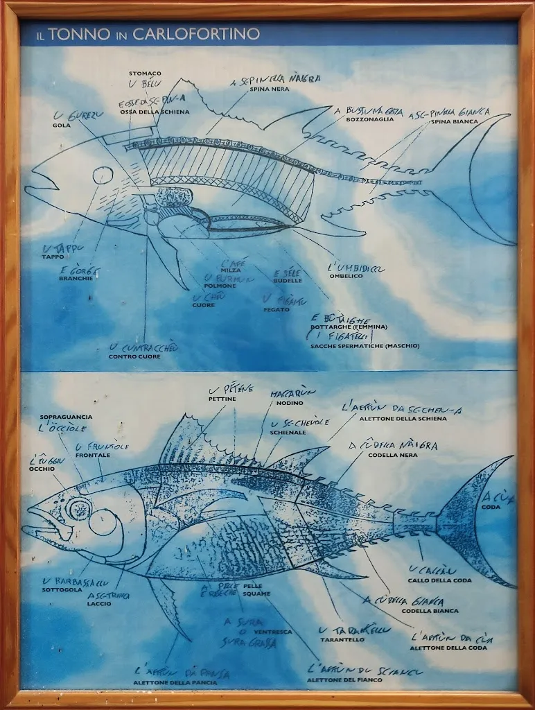 Davide Pusceddu_Osteria della Tonnara_Carloforte_review