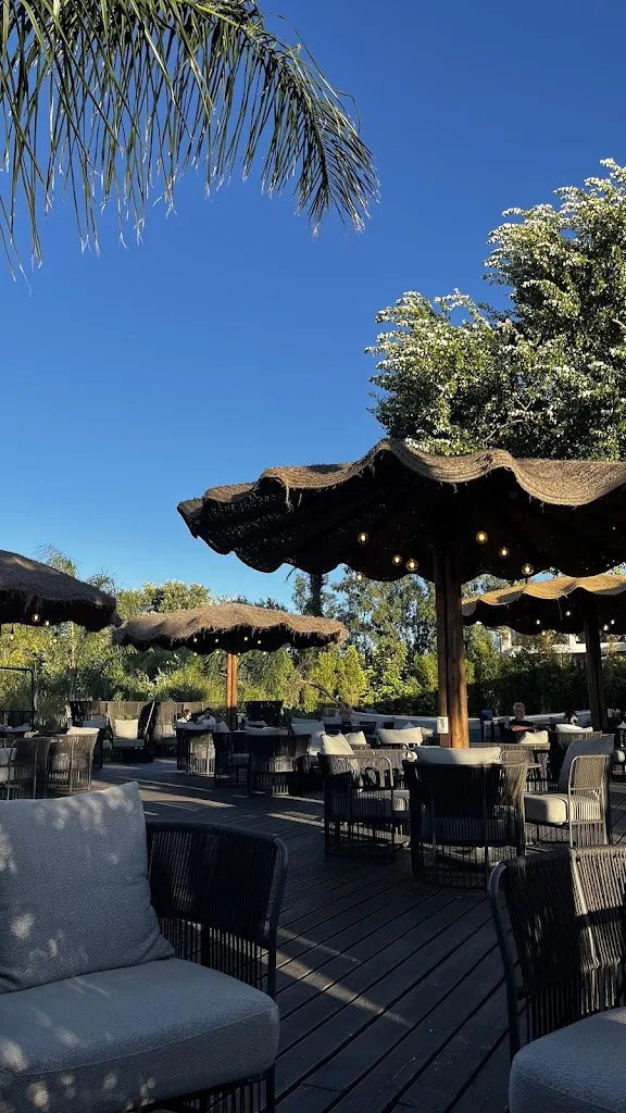 Anastasiia Polynskaia_Ristorante 