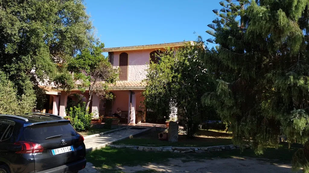 Peter Novak_Is Bisus_Castiadas_review