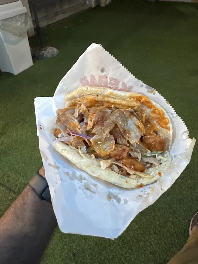 Khizer Masoud_Tasty poké kebab_Codaruina_review