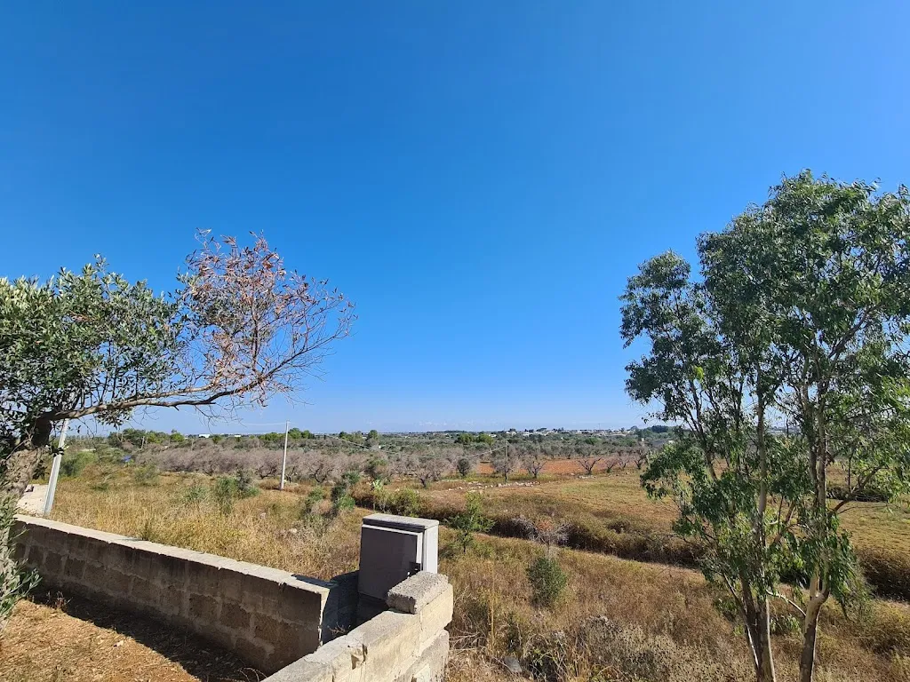 Thomas Bertoz_Agriturismo Il Rifugio_Galugnano_review