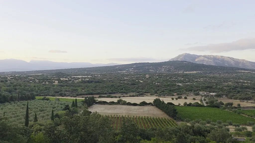 Tonny Montana_Ristorante Ispinigoli Ss 125_Cala Gonone_review