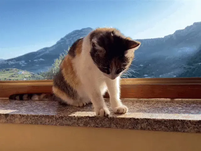 Stefano Cherchi_Hotel Ristorante Sant'Elene_Cala Gonone_review