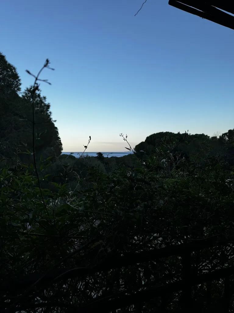 Jannis Tutsch_Ristorante Sardinia_Cala Gonone_review