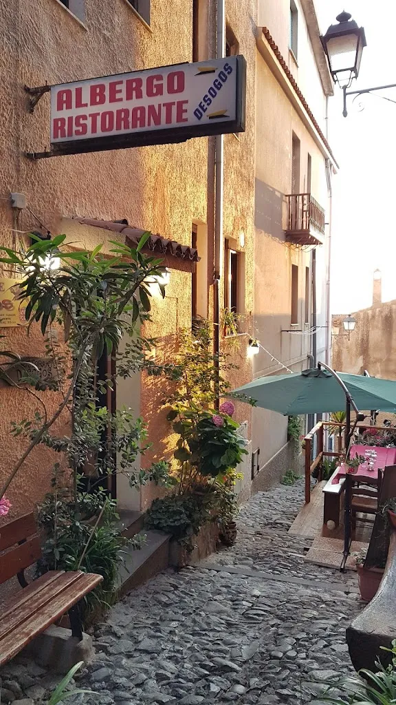 Desogos_Curcuris_slider_image_1