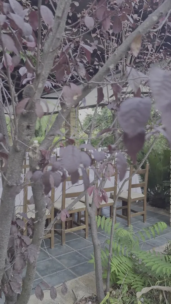 Fuoco 26_Casalbordino-Miracoli_slider_image_2