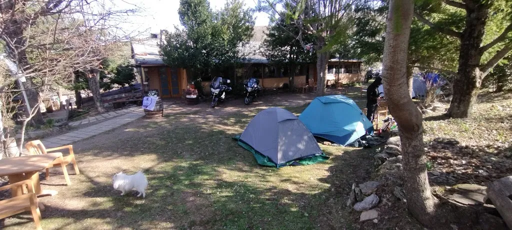 DANIELE SERRA_Bar Ristorante Pizzeria Su Filariu _Desulo_review