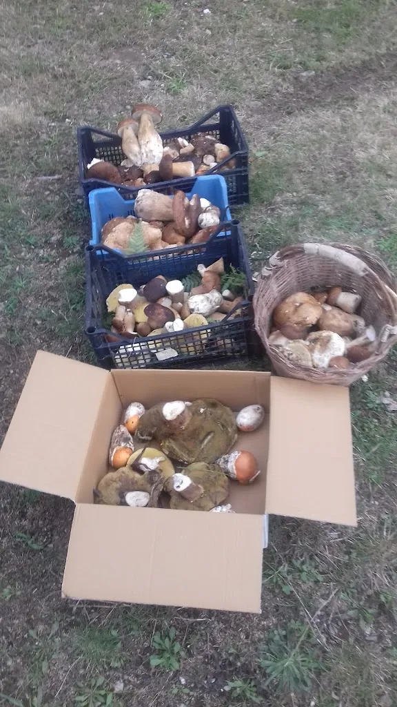 Menu_Bar Ristorante Madonna delle Nevi - Tascusì_Desulo_image_2