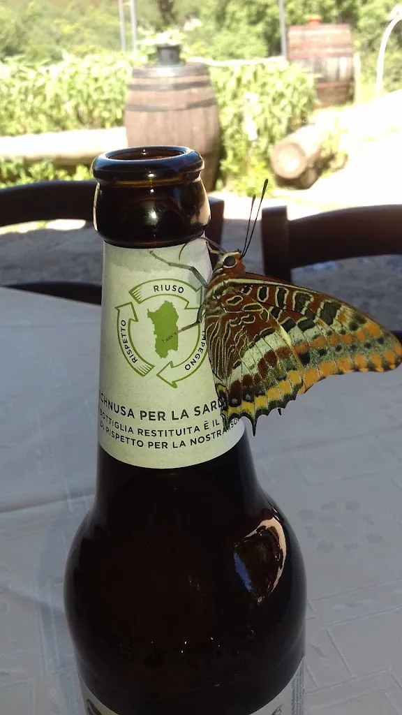 Menu_Bar Ristorante Madonna delle Nevi - Tascusì_Desulo_image_4