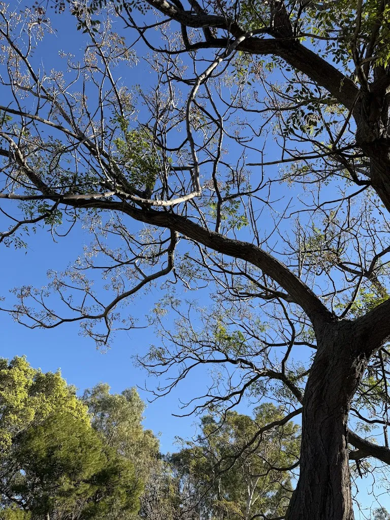 Gabriel FD_La Terrazza Pizzeria Ristorante_Capoterra_review