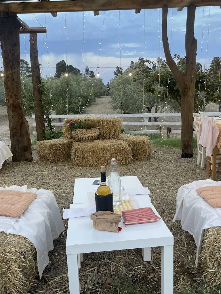 Emma Antrobus_Azienda Agricola Planu e Mesu_Capoterra_review