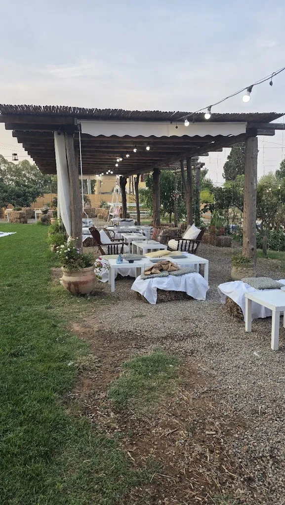 Davide Puggioni_Azienda Agricola Planu e Mesu_Capoterra_review