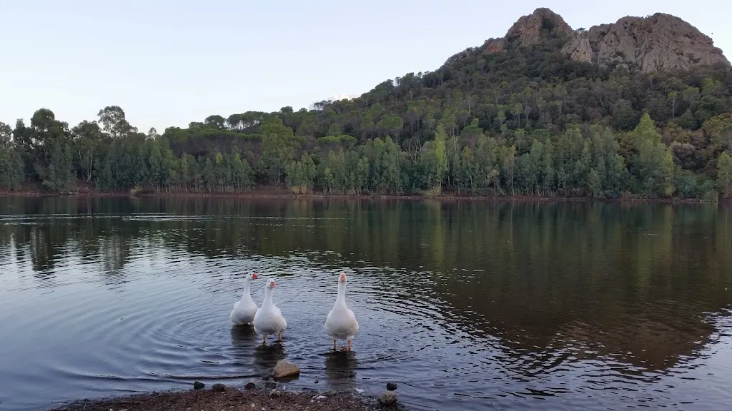 Home Restaurant Sonazzos_Capoterra_slider_image_2